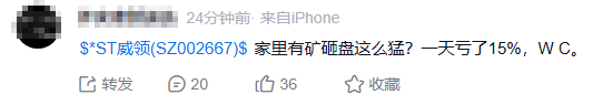 ST威领投资者亏损 ST威领投资者亏损